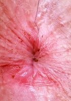 ATK Galleria: Ali Jones (Ali Jones is the fun girl next door)