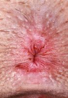 Ali Jones from ATK Petites