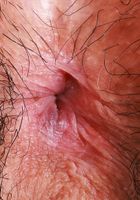 Amber spreads her wonderfully edible pussy and ass., Amber Summer (amb070) ATK Natural & Hairy: Amber Summer (Amber spreads her wonderfully edible pussy and ass.)