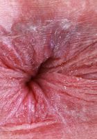 Amber Angel slips you a peek at her red panties, Amber Angel (amb072) ATK Exotics: Amber Angel (Amber Angel slips you a peek at her red panties)