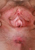 Apricot Pitts from ATK Natural & Hairy