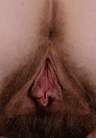 Apricot Pitts in young and hairy, Apricot Pitts (apr024) ATK Natural & Hairy: Apricot Pitts (Apricot Pitts in young and hairy)