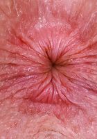 Apricot Pitts from ATK Natural & Hairy