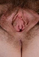 Apricot Pitts in young and hairy, Apricot Pitts (apr024) ATK Natural & Hairy: Apricot Pitts (Apricot Pitts in young and hairy)