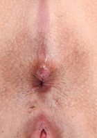 Eve Ellwood in latinas, Eve Ellwood (ari049) ATK Exotics: Eve Ellwood (Eve Ellwood in latinas)