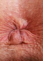 Arielle Lane Outdoor Stripping, Arielle Lane (ari063) ATK Natural & Hairy: Arielle Lane (Arielle Lane Outdoor Stripping)
