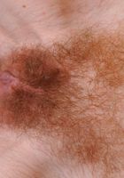 Austin Scott in mature and hairy, Austin Scott (aus003) ATK Natural & Hairy: Austin Scott (Austin Scott in mature and hairy)
