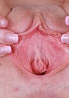 ATK Galleria: Avery Wilds (Long-haired Avery Wilds is getting even wilder)