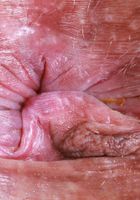 ATK Exotics: Naudi Nala (Naudi Nala is stripping down)