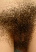 Azelea in exotic and hairy, Azelea (aze001) ATK Petites: Azelea (Azelea in exotic and hairy)