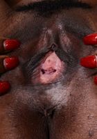 Bella Dahl in exotic and hairy, Bella Dahl (bel052) ATK Natural & Hairy: Bella Dahl (Bella Dahl in exotic and hairy)
