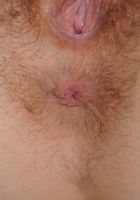 Hairy short-haired Brandi spreads her pussy, Brandi Dandi (bra038) ATK Archives: Brandi Dandi (Hairy short-haired Brandi spreads her pussy)