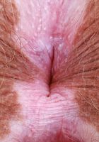 Bratty's hot lingerie and hairy body will leave you sweating., Bratty Wolfie (bra041) ATK Natural & Hairy: Bratty Wolfie (Bratty's hot lingerie and hairy body will leave you sweating.)