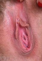 Cadence Lux from ATK Natural & Hairy