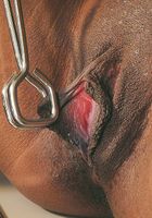 Charise in masturbation, Charise (cha018) ATK Exotics: Charise (Charise in masturbation)