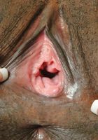 Christian in masturbation, Christian (chr109) ATK Exotics: Christian (Christian in masturbation)