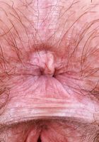 Annabelle Lee from ATK Petites