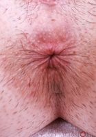 ATK Galleria: Daydream Daisy (Daydream Daisy welcomes you to Hooters)