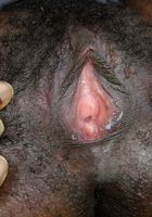 Nina Devon in exotic and hairy, Nina Devon (dej001) ATK Petites: Nina Devon (Nina Devon in exotic and hairy)