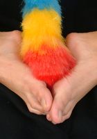 Ditty in footfetish, Ditty (dit002) ATK Archives: Ditty (Ditty in footfetish)