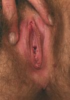 Naughty hairy coed Ella teases and shows her thick hairy beaver, Ella (ell012) ATK Archives: Ella (Naughty hairy coed Ella teases and shows her thick hairy beaver)