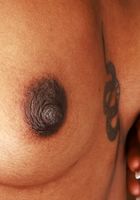 Fae Love Nude and Spreading, Fae Love (fae004) ATK Exotics: Fae Love (Fae Love Nude and Spreading)