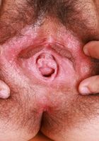 Gigi Hairy Pussy Spreading Ass Gaping, Gigi (gig009) ATK Natural & Hairy: Gigi (Gigi Hairy Pussy Spreading Ass Gaping)