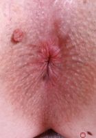 ATK Galleria: Harlow West (Harlow West Tight Shorts Foot Fetish Pussy Spreading)