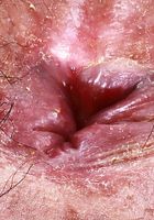 Hazel Heart from ATK Natural & Hairy