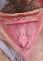 Hope gapes her tight pink hairy hole., Hope Howell (hop004) ATK Petites: Hope Howell (Hope gapes her tight pink hairy hole.)