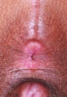 Isabella Jules from ATK Exotics