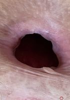 Jackie Hoff Upskirt Spreads, Jackie Hoff (jac041) ATK Petites: Jackie Hoff (Jackie Hoff Upskirt Spreads)