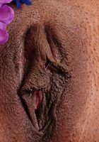 Jay Lynn in black women, Jay Lynn (jay024) ATK Exotics: Jay Lynn (Jay Lynn in black women)