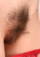 Jeny loves her lingerie and how it still doesn't hide her bush, Jeny (jen072) ATK Archives: Jeny (Jeny loves her lingerie and how it still doesn't hide her bush)