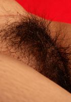 Joslin in exotic and hairy, Joslin (jos024) ATK Petites: Joslin (Joslin in exotic and hairy)