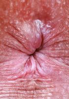 ATK Petites: Katerina Karson (Katerina Karson is waiting in her bra and panties)