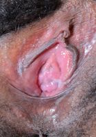 Hot pussy spreads by Kimmy Katt, Kimmy Katt (kim065) ATK Exotics: Kimmy Katt (Hot pussy spreads by Kimmy Katt)