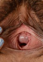 Kimberly Chi in exotic and hairy, Kimberly Chi (kim066) ATK Natural & Hairy: Kimberly Chi (Kimberly Chi in exotic and hairy)