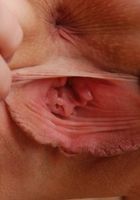 Kirsty strips and plays with her shaved pussy, Kirsty (kir024) ATK Archives: Kirsty (Kirsty strips and plays with her shaved pussy)