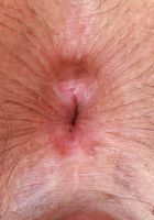 Kiwi in exotic and hairy, Kiwi (kiw004) ATK Natural & Hairy: Kiwi (Kiwi in exotic and hairy)