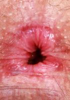 Curvy hairy Lenna shows it all., Lenna (lee019) ATK Natural & Hairy: Lenna (Curvy hairy Lenna shows it all.)