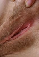 Sexy coed Leona teases and spreads her pussy, Leona Rox (leo006) ATK Archives: Leona Rox (Sexy coed Leona teases and spreads her pussy)