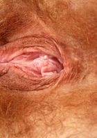 Lisa in mature and hairy, Lisa (lis035) ATK Natural & Hairy: Lisa (Lisa in mature and hairy)