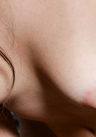 Luna Leve in latinas, Luna Leve (lun008) ATK Exotics: Luna Leve (Luna Leve in latinas)
