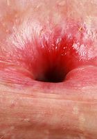 Meloni Moon Spreads her Holes, Meloni Moon (mel117) ATK Galleria: Meloni Moon (Meloni Moon Spreads her Holes)