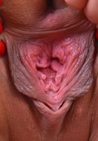 Mila jade giving you one succulent pink pussy, Mila Jade (mil040) ATK Exotics: Mila Jade (Mila jade giving you one succulent pink pussy)