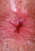 Pearl Sage from ATK Natural & Hairy