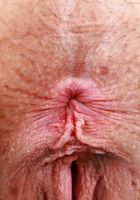 ATK Natural & Hairy: Sahara Skye (Sahara Skye Totally Nude and Spreading)