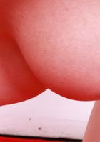 Selina Imai from ATK Exotics