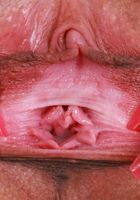 Serena Hill Young Pink Pussy, Serena Hill (ser031) ATK Petites: Serena Hill (Serena Hill Young Pink Pussy)